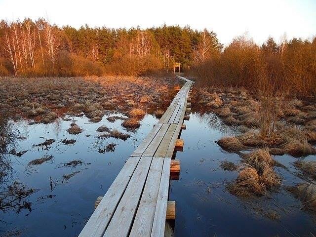 ТОП-10 мест Черниговщины