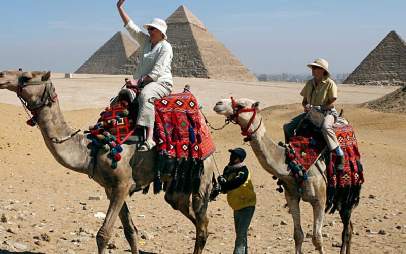Єгипет заборонить поїздки на верблюдах для туристів