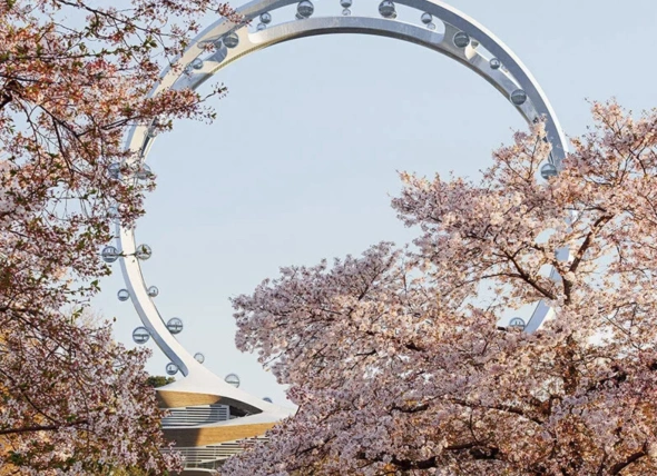 Сеульське колесо огляду Twin Eye стане найбільшим у світі колесом огляду